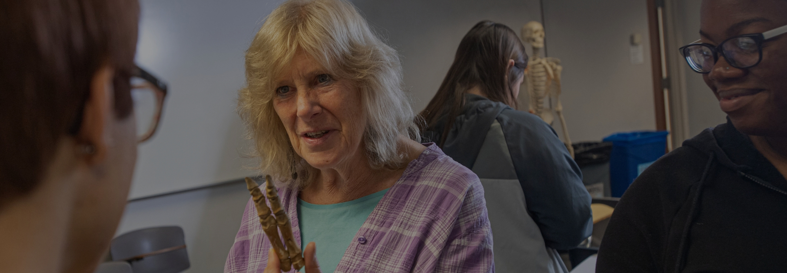 Programs For Adult Enrichment At Kent State University Lifelong Programs For Adult Enrichment At Kent State University Lifelong